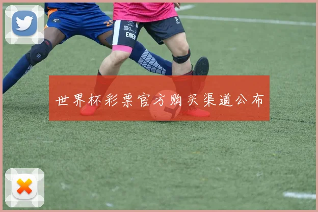 世界杯彩票官方购买渠道公布
