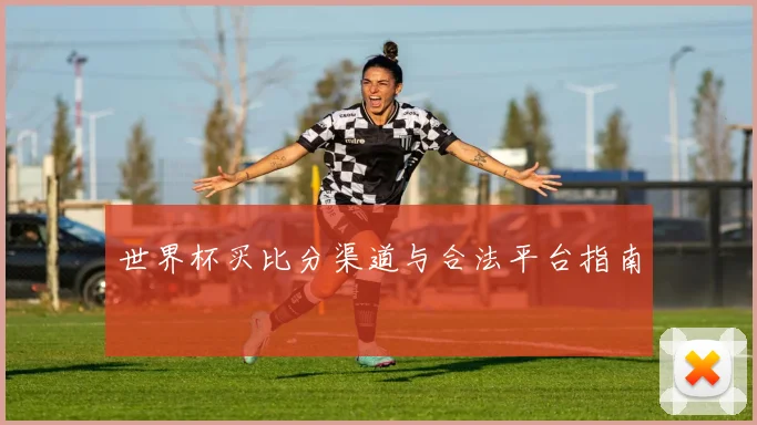 世界杯买比分渠道与合法平台指南