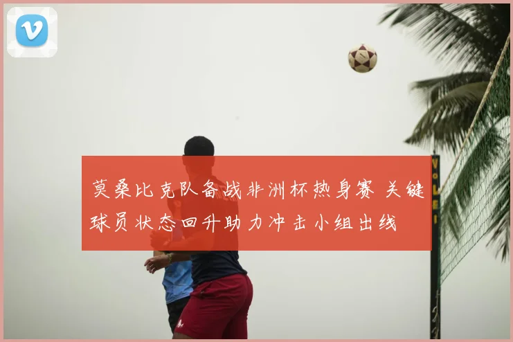 莫桑比克队备战非洲杯热身赛 关键球员状态回升助力冲击小组出线
