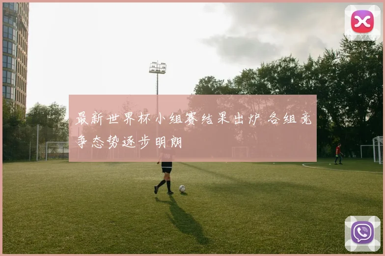 最新世界杯小组赛结果出炉 各组竞争态势逐步明朗