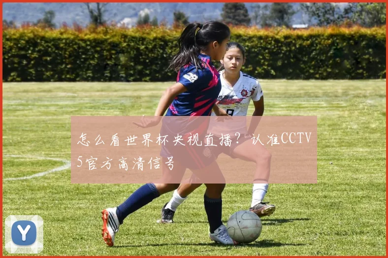 怎么看世界杯央视直播？认准CCTV5官方高清信号