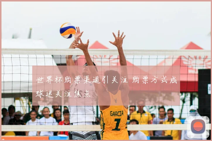 世界杯购票渠道引关注 购票方式成球迷关注焦点