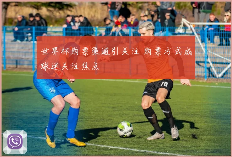 世界杯购票渠道引关注 购票方式成球迷关注焦点