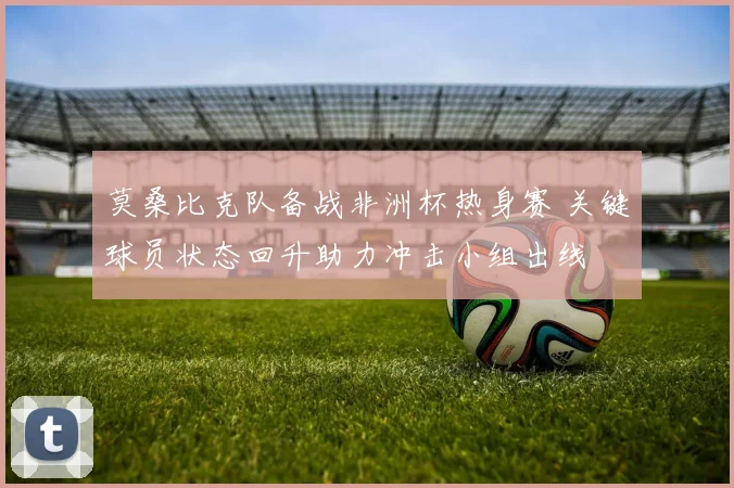 莫桑比克队备战非洲杯热身赛 关键球员状态回升助力冲击小组出线